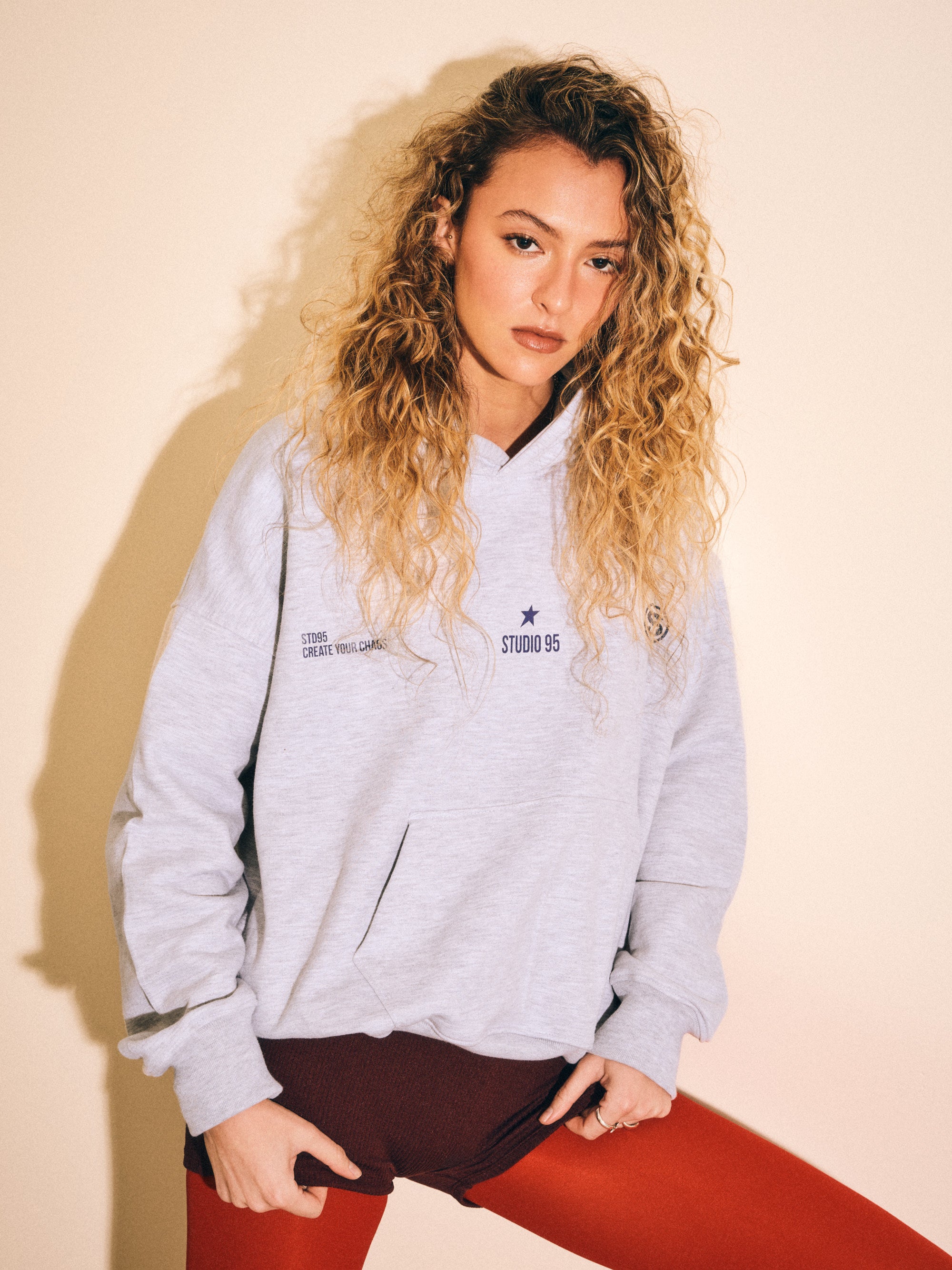 S95WORLD HOODIE (GRIS)
