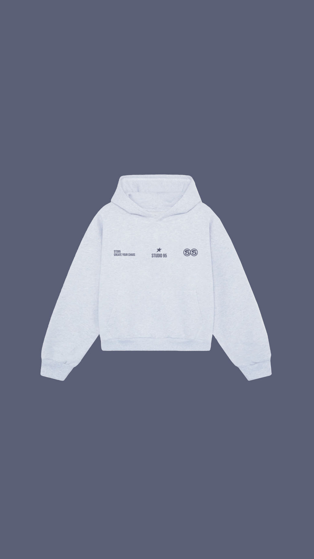 S95WORLD HOODIE (GRIS)