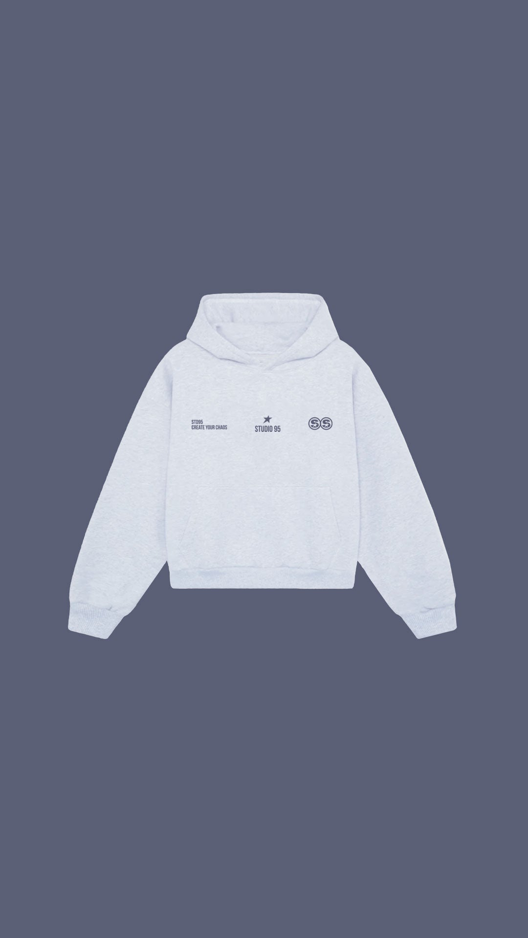 S95WORLD HOODIE (GRIS)